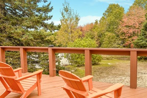 deck and forest view