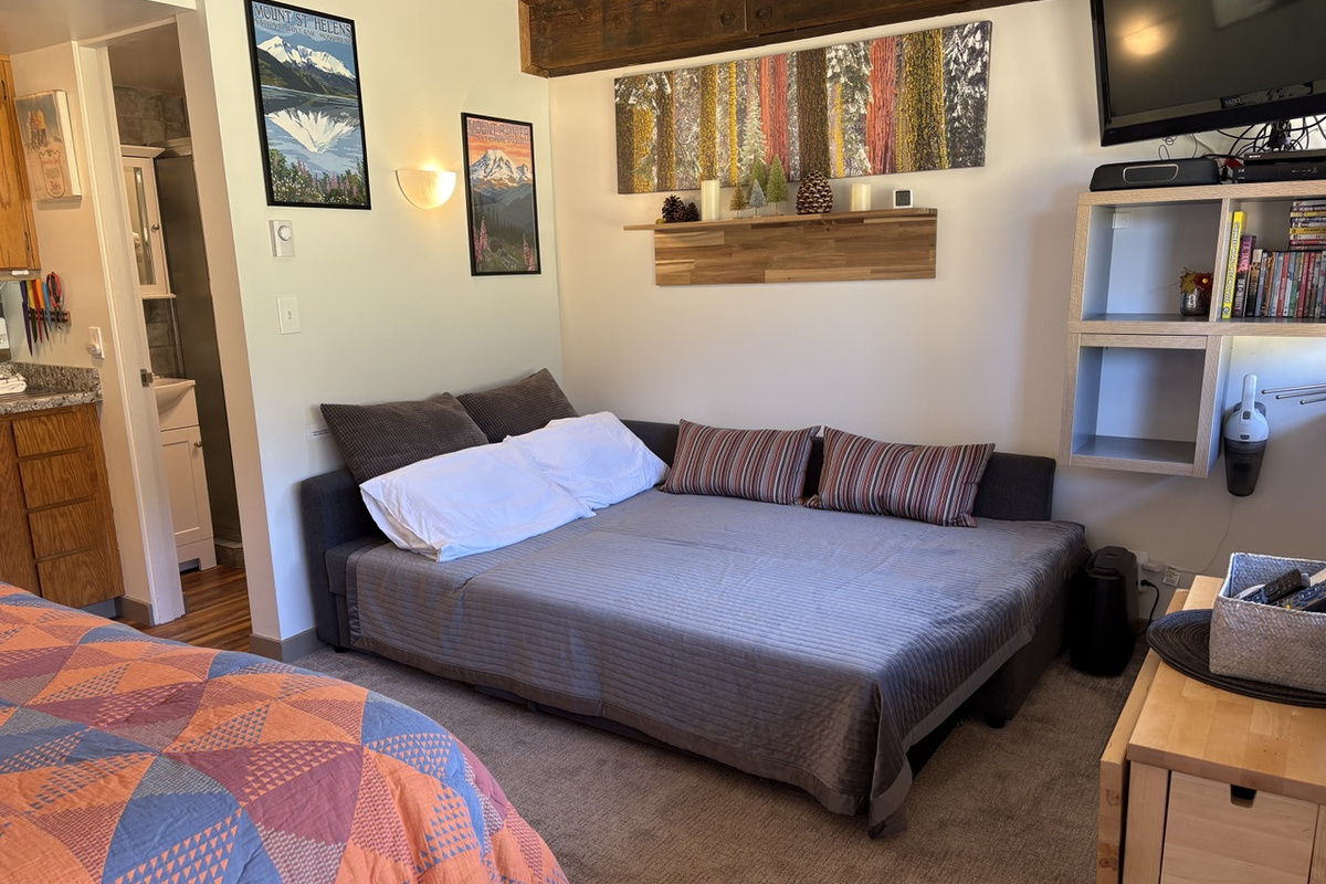 Full size sofa bed