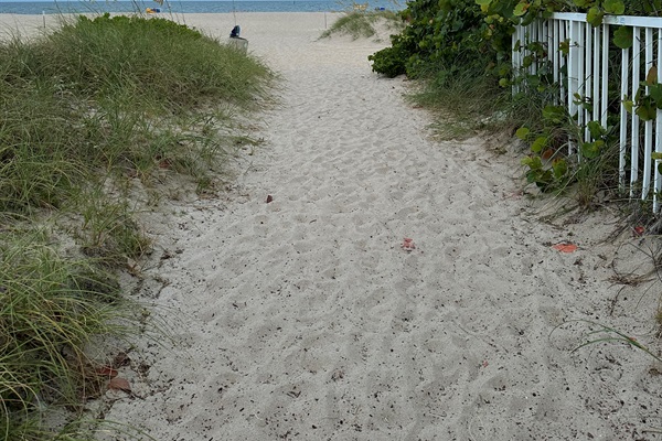 Path to the beach
