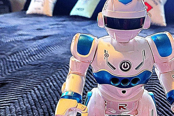 Howie SHOG loves his king bed. Great place to jump on the bed.