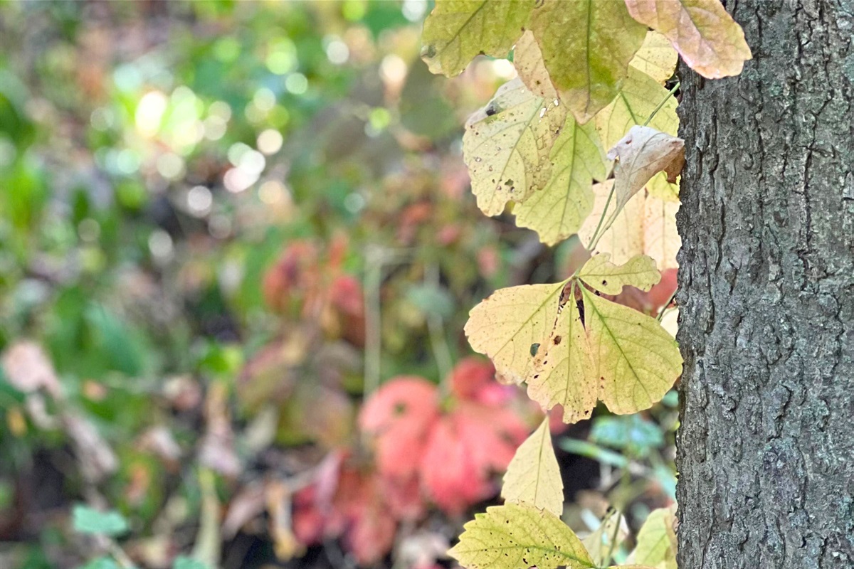 "Such a beautiful and intimate location!" - Natalie