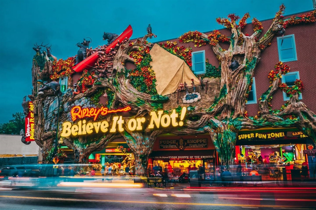 Ripley's Believe It or Not! just a 29 minute drive