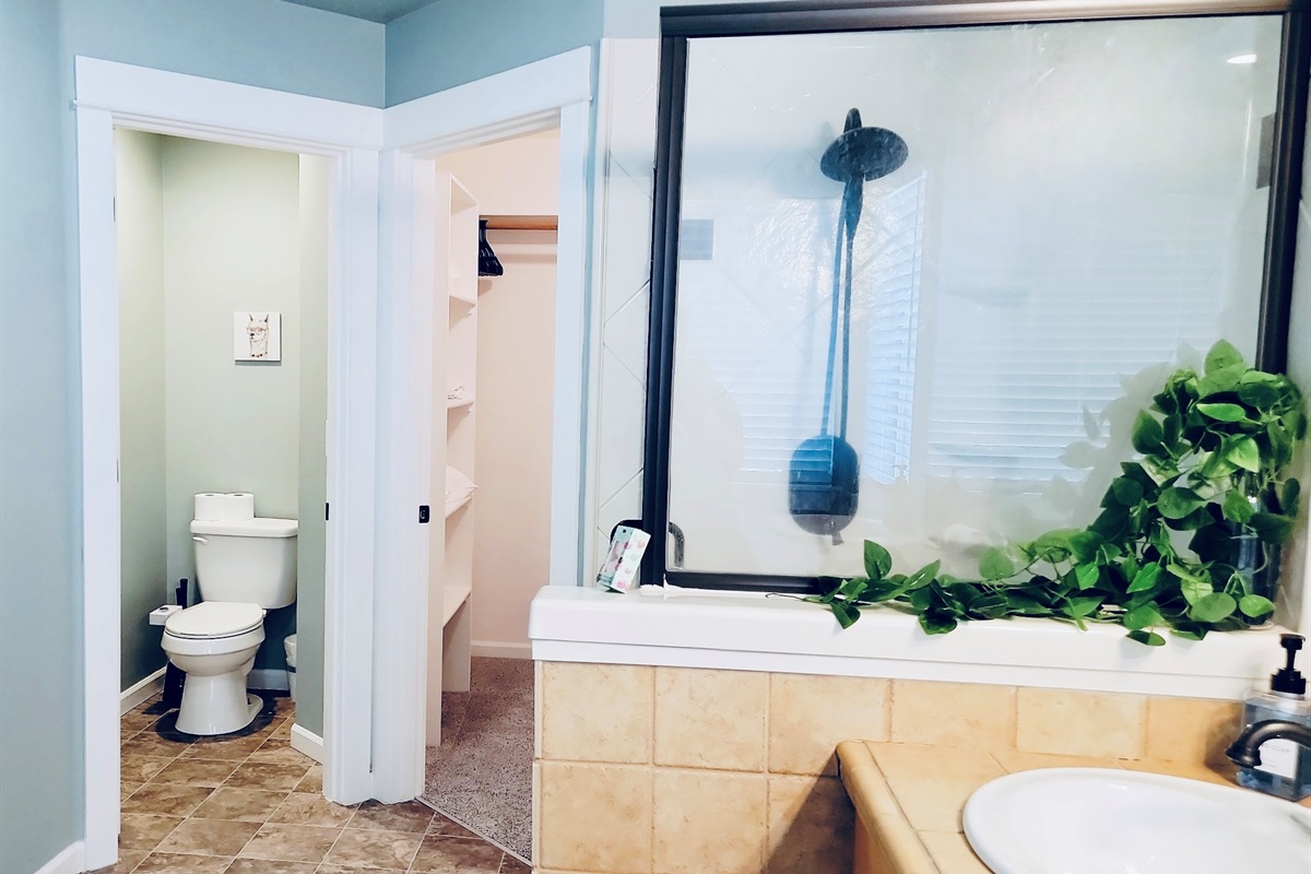 Ensuite bathroom