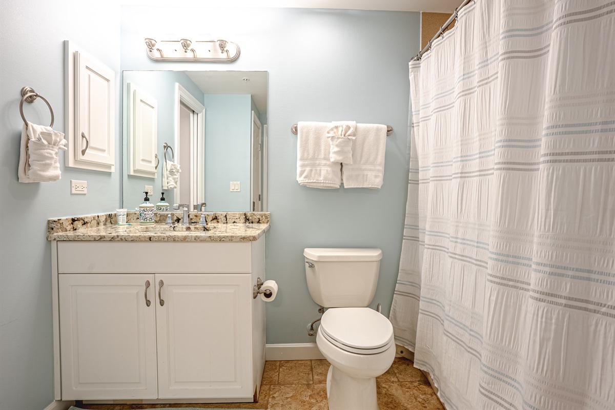 Guest bathroom with tub/shower combo