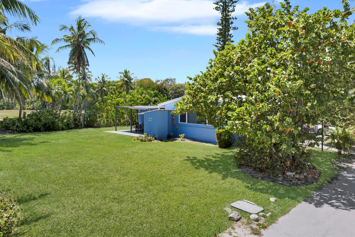 Large yard which can be used for boat trailer parking