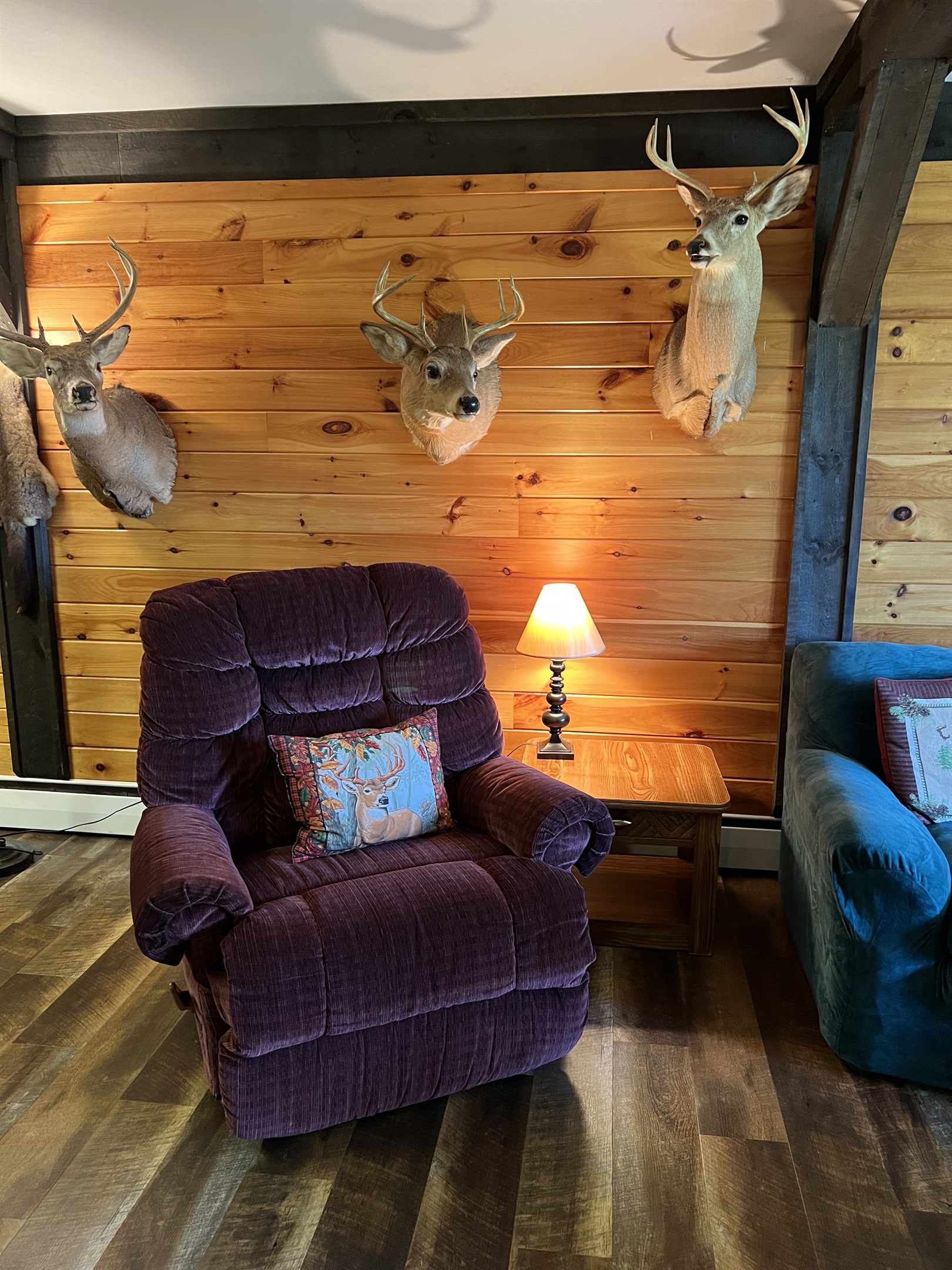 Cozy living room area