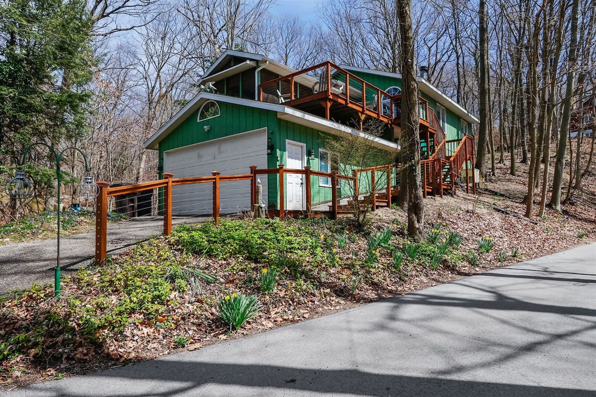 The Tree House