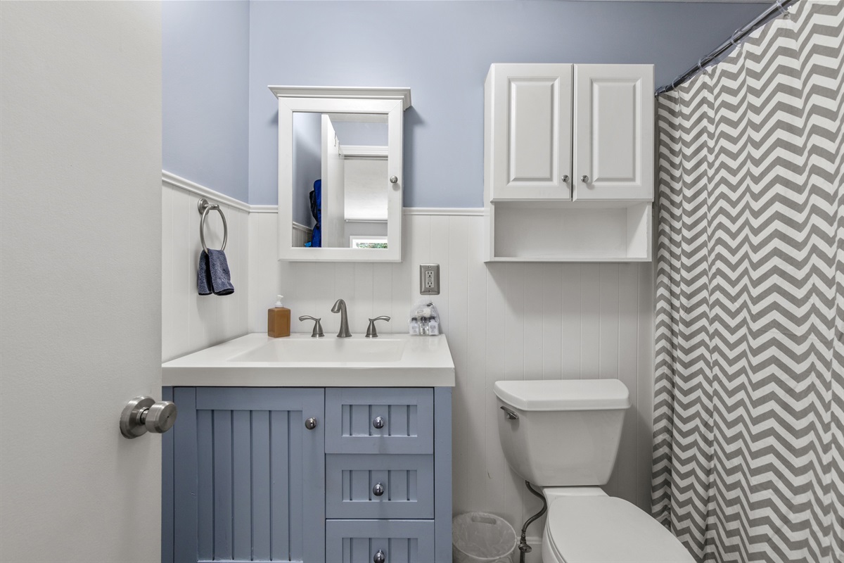 Combo tub/shower, toilet
