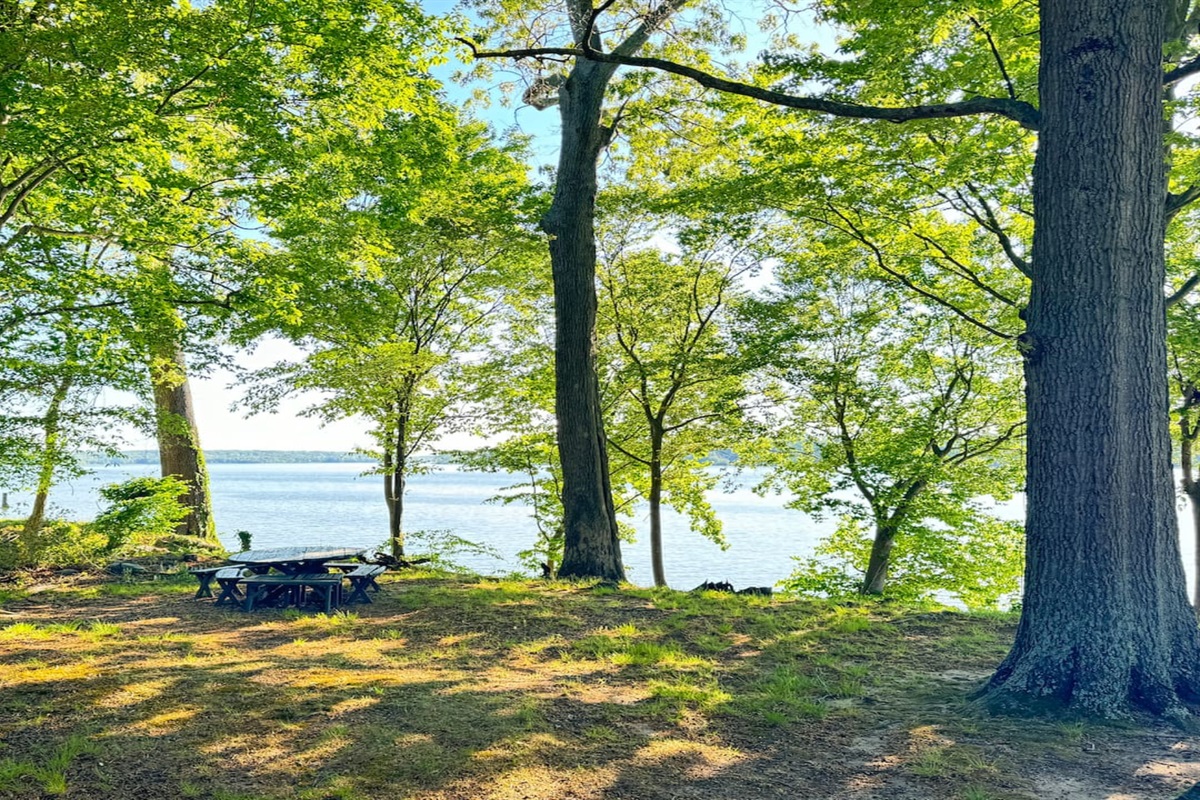 Beautiful backyard views.