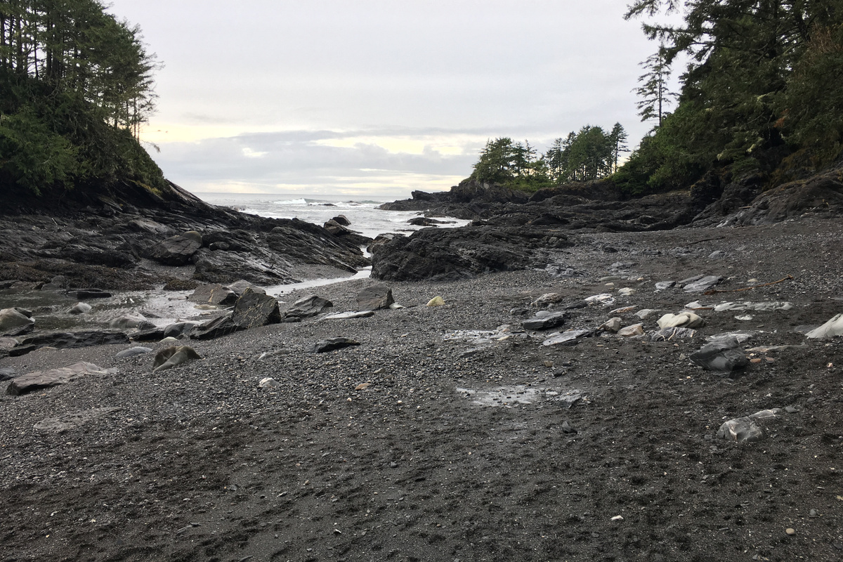 Botanical Beach 3