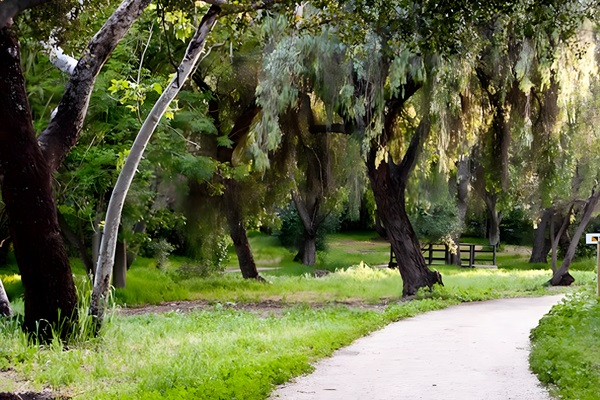 Beautiful local parks