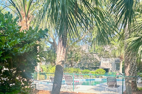 Pool area through the trees