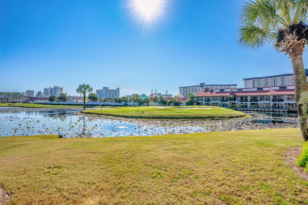 8th hole island green view