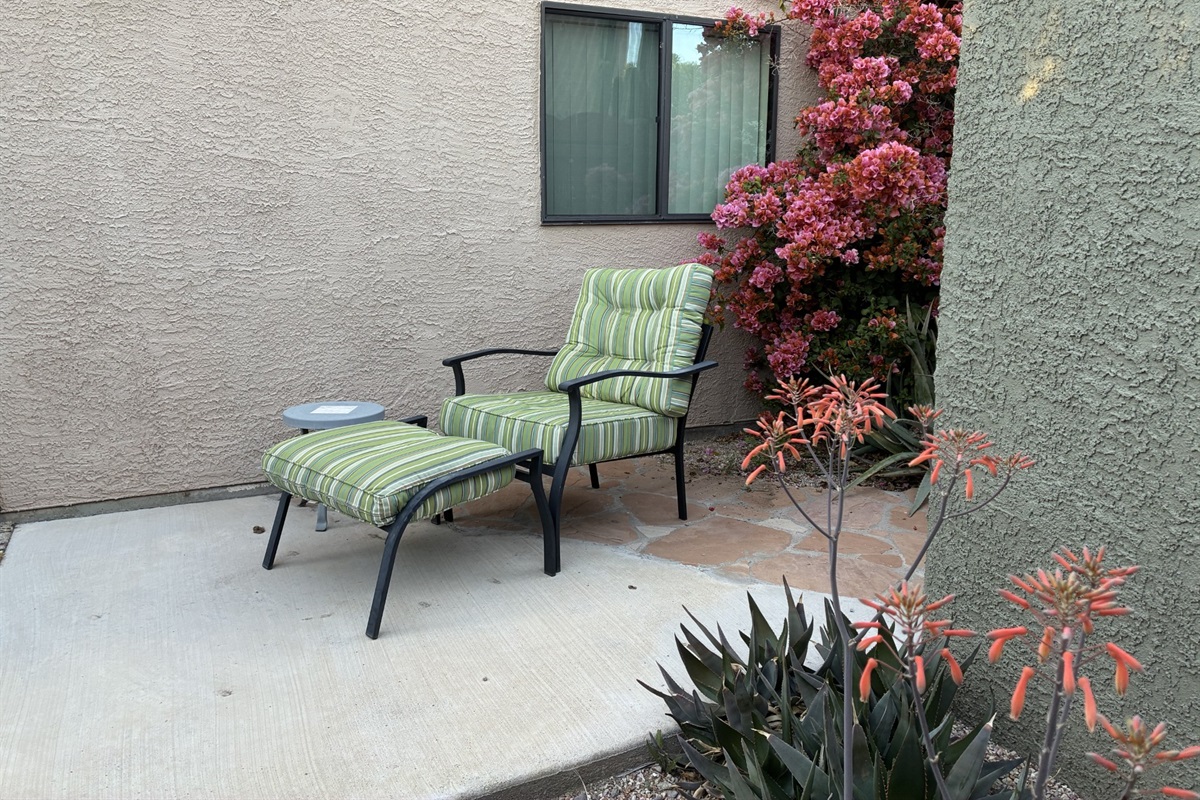 Back patio near gate to pool.