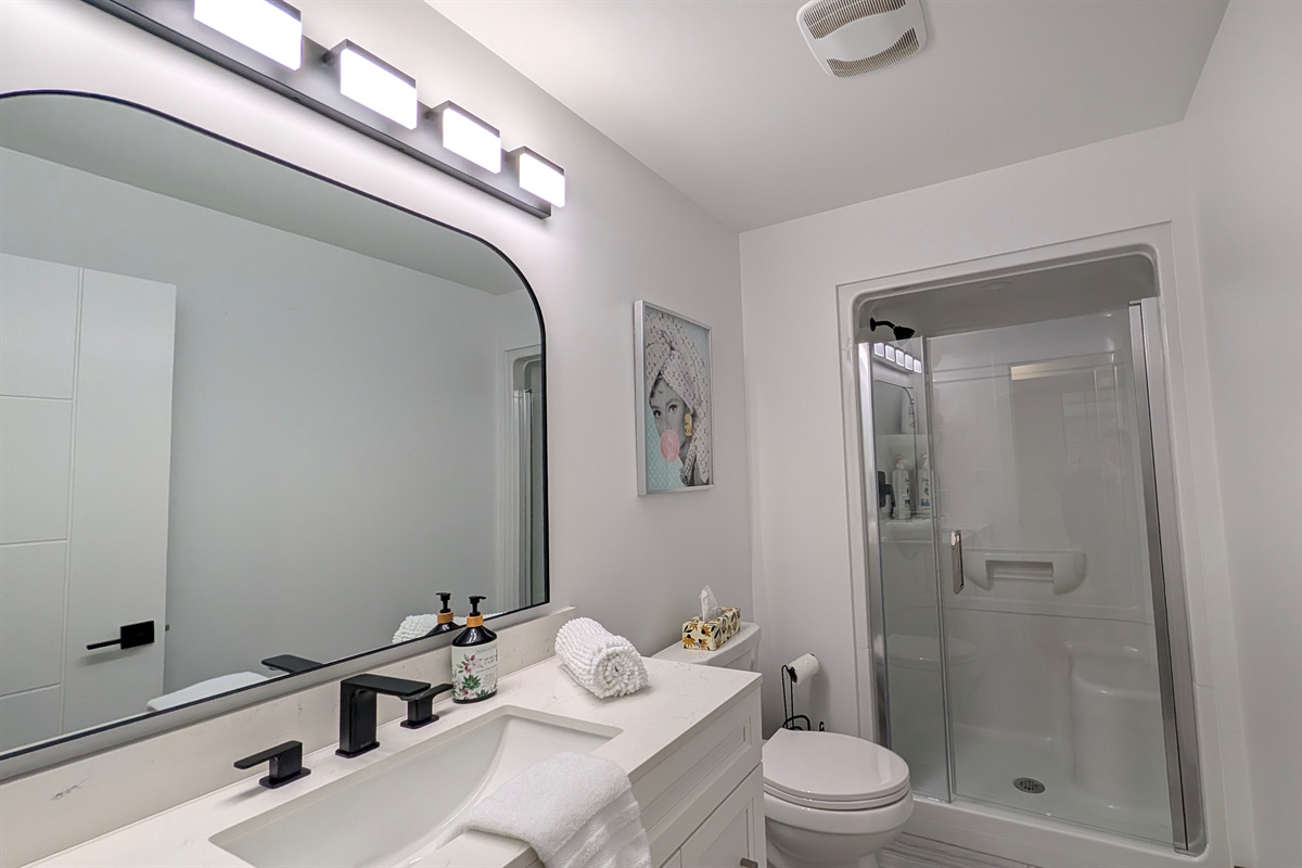 Full Bathroom in the basement