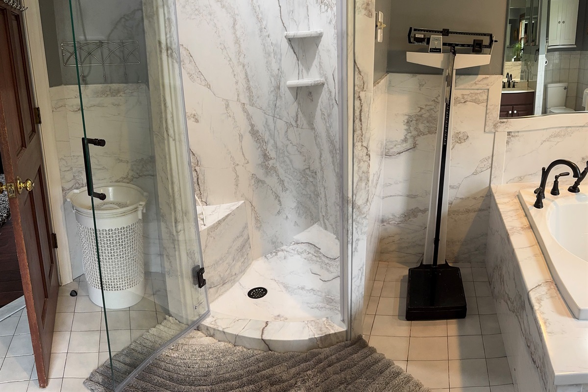 Master Bathroom Shower