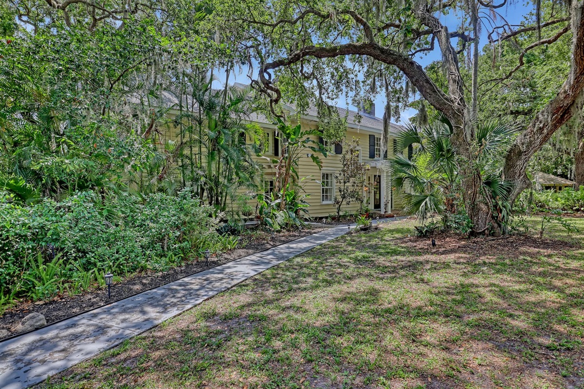 Backyard