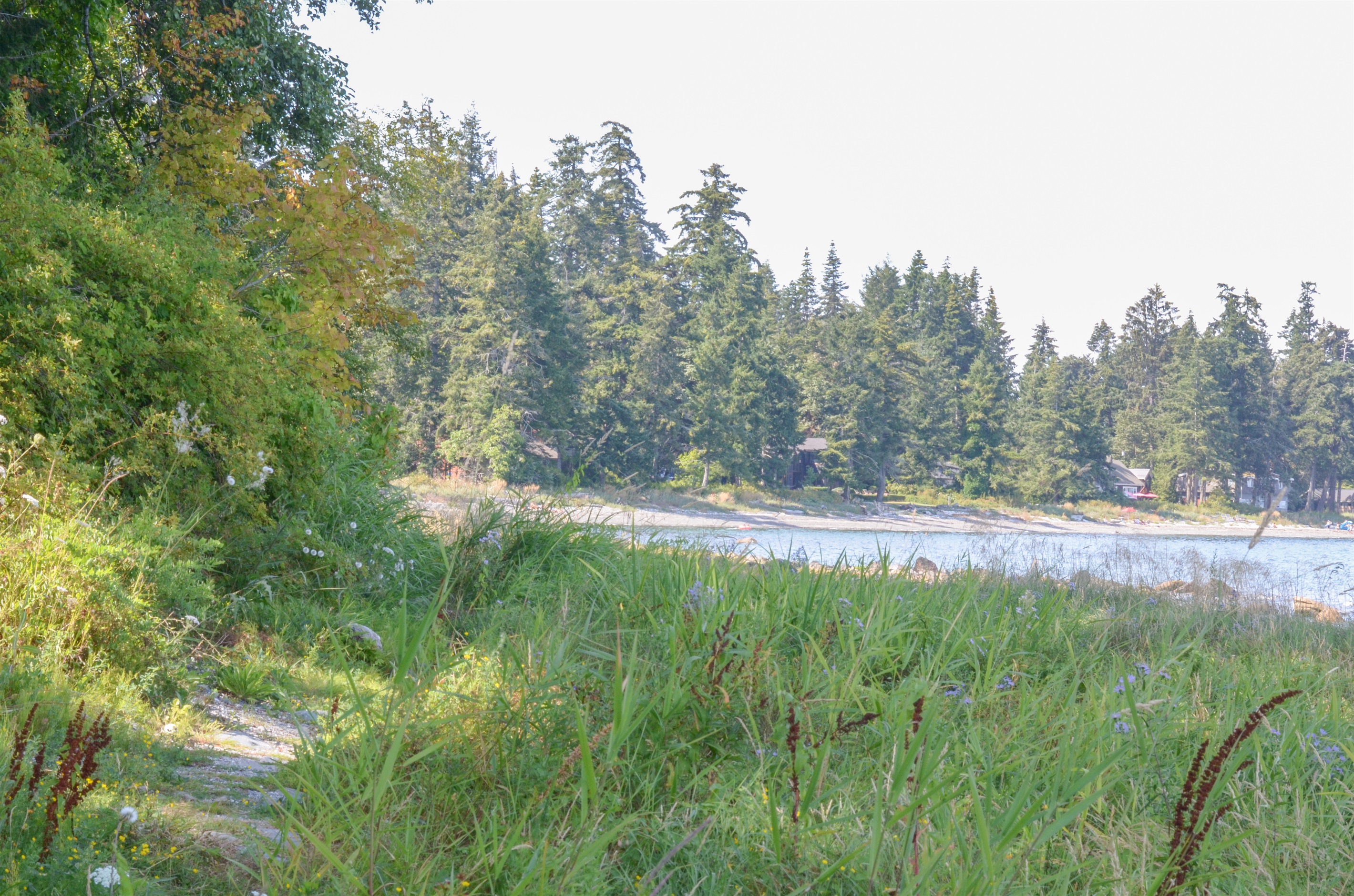 Beach path access in both directions — peaceful strolls