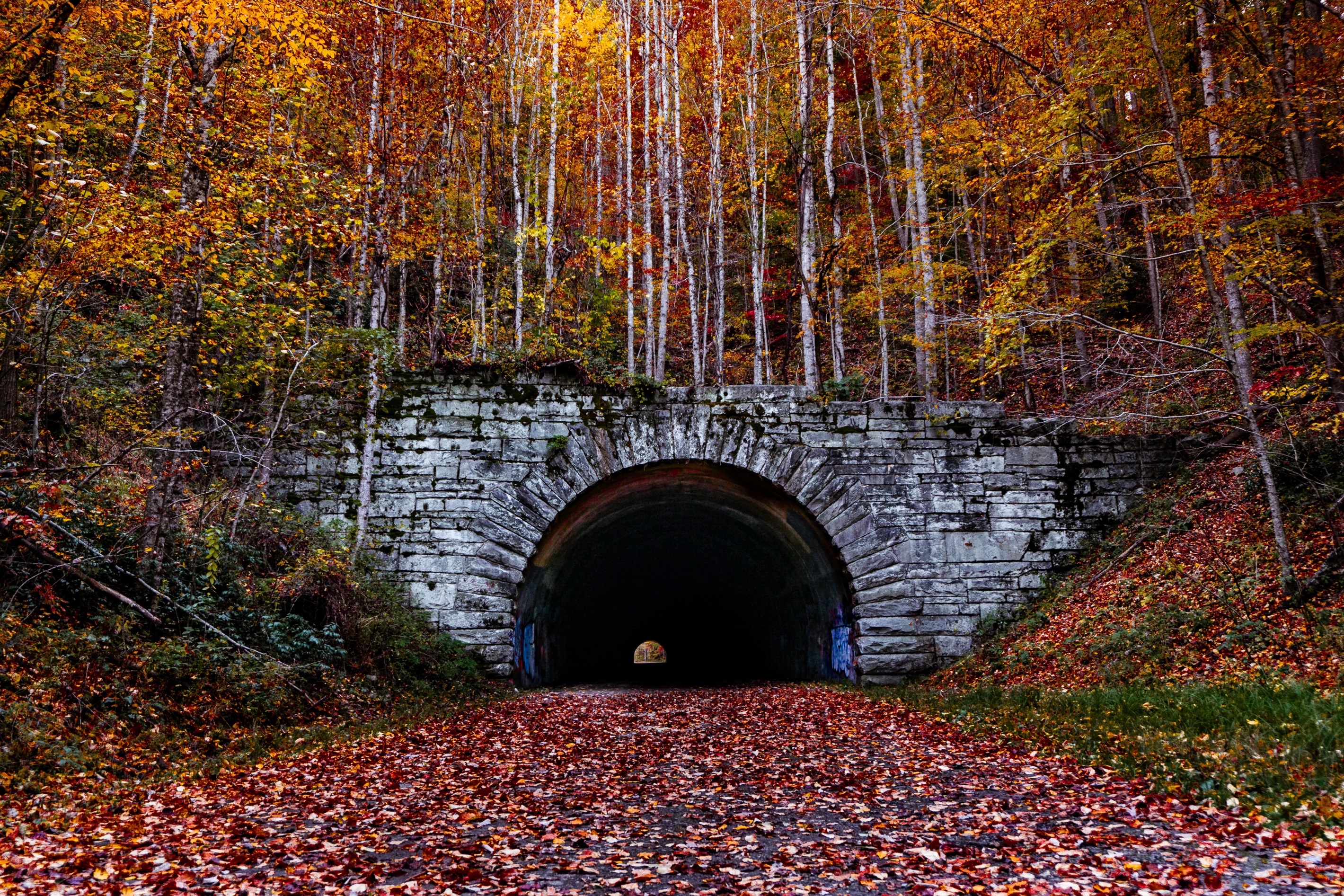 The Road to Nowhere. Interesting history and a fun short hike.