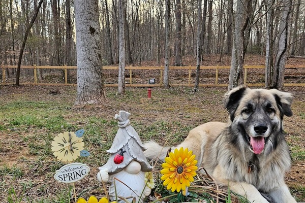 I fit perfectly in! at Paws and Linger Retreat