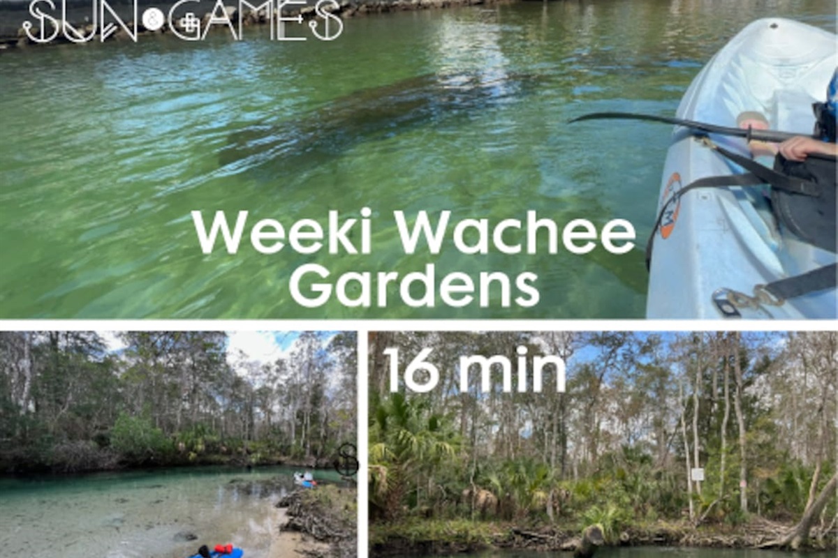 Weeki wachee state park is 10 min and further down 6 more minutes is the the Weeki Wachee gardens where you can rent Kayaks (by Upper deck restaurant) swim in the natural springs crystal clear water and kayak next to manatees