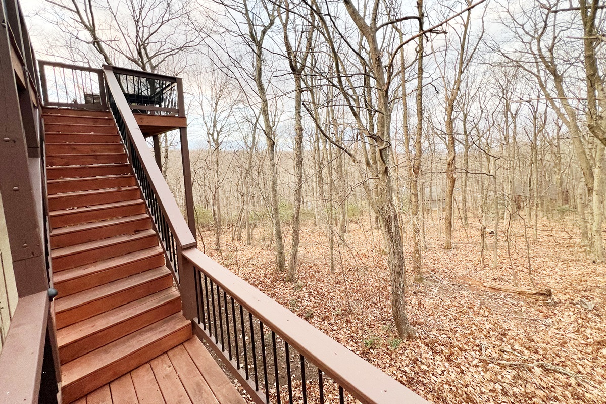 Back Deck Stairs Near Woods