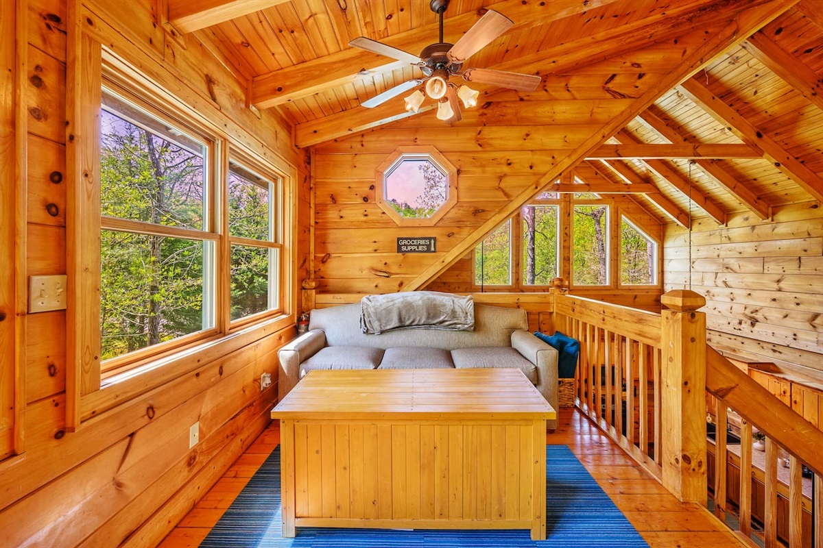 Ceiling fan above sleeper sofa