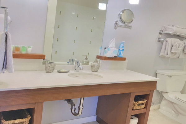 Large bathroom with separate shower and tub.