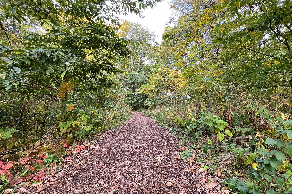 "Great place tucked into the forest!" - Dustin