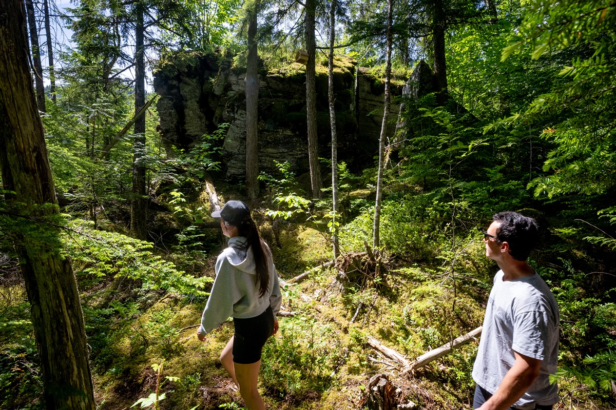 Enjoy our onsite interpretive trail showcasing native flora and fauna and its indigenous uses