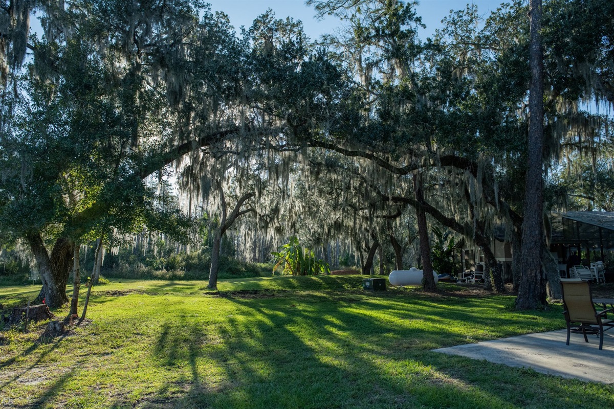 Unwind by the lake and enjoy peaceful views surrounded by nature.