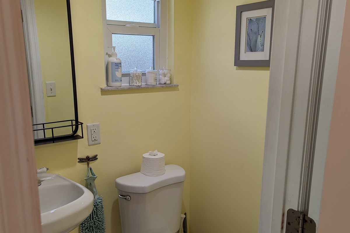 Downstairs Bathroom (Main house)