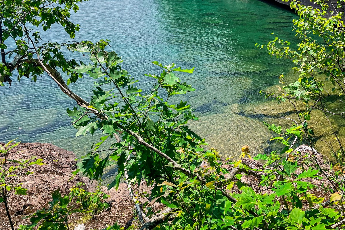 Big Bay Point Loop Trail on Madeline Island. Accessible by taking the ferry from Bayfield to La Pointe (Madeline Island) great hike for the entire family. 