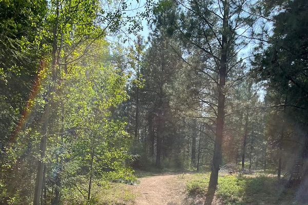 Nearby hiking and mountain bike trails for the kids and adults alike