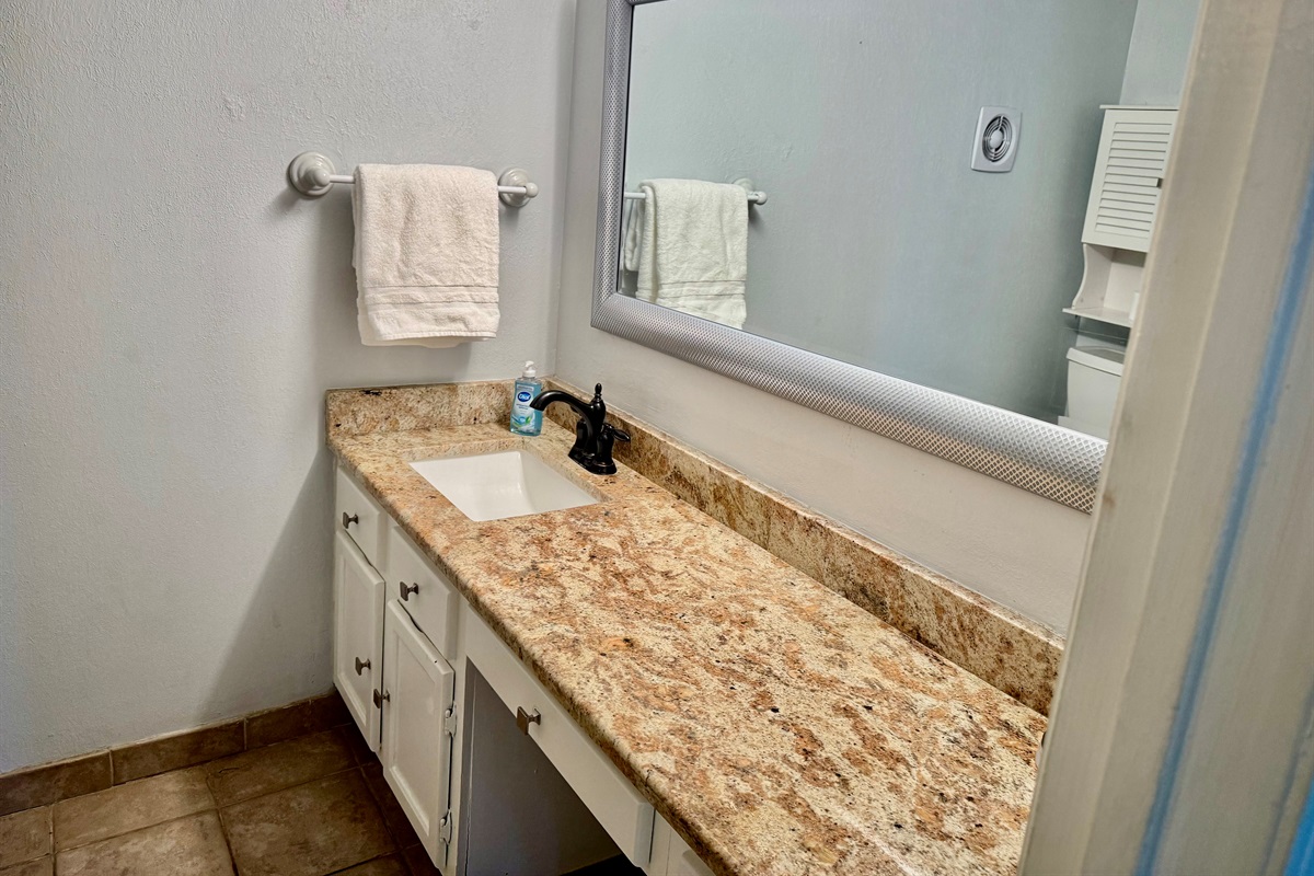 Tons of counter space in the guest bathroom!