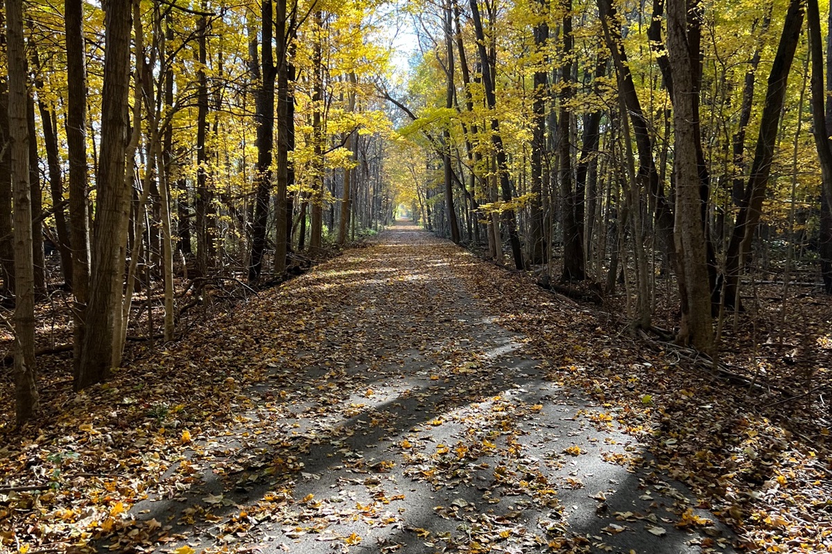 Fishing Line Rail Trail in the Fall - it runs for 12 miles and passes just behind Hilltop Haven