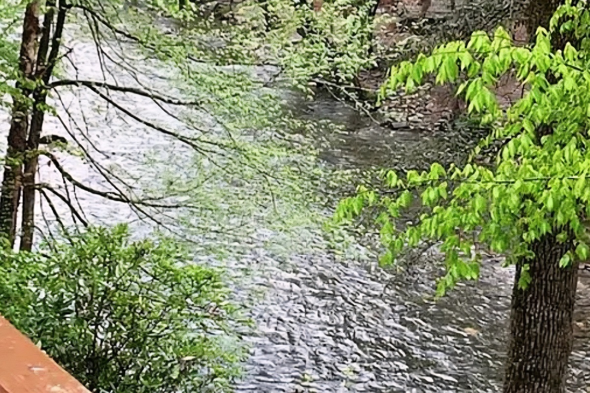 View of river from back deck