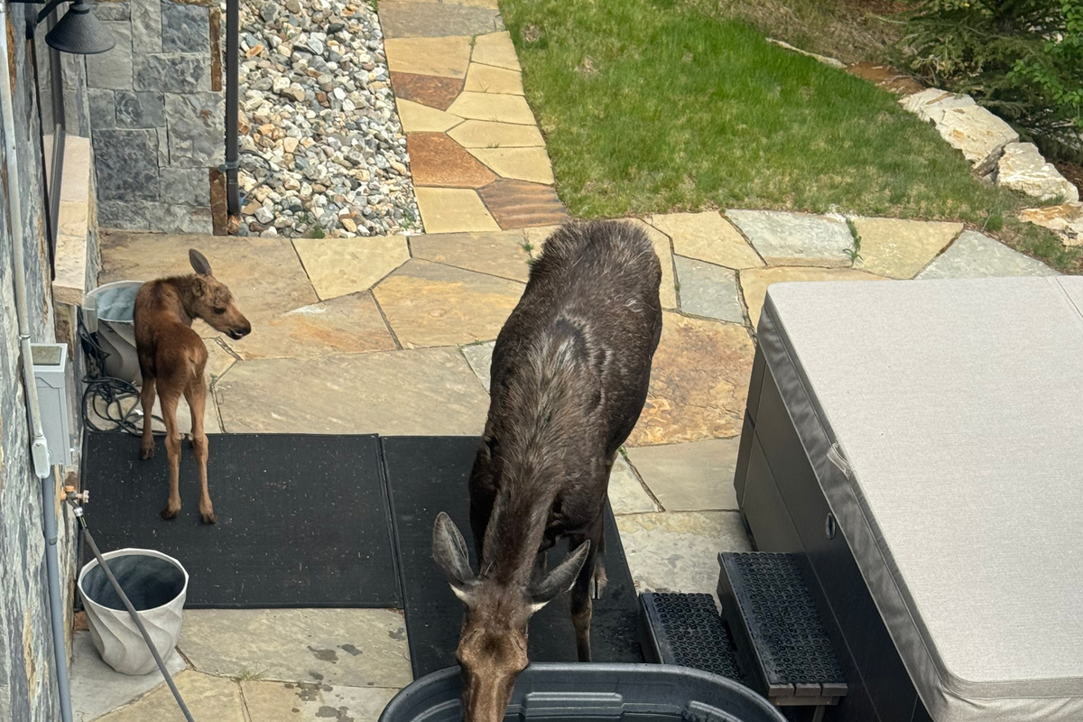 Our neighbors