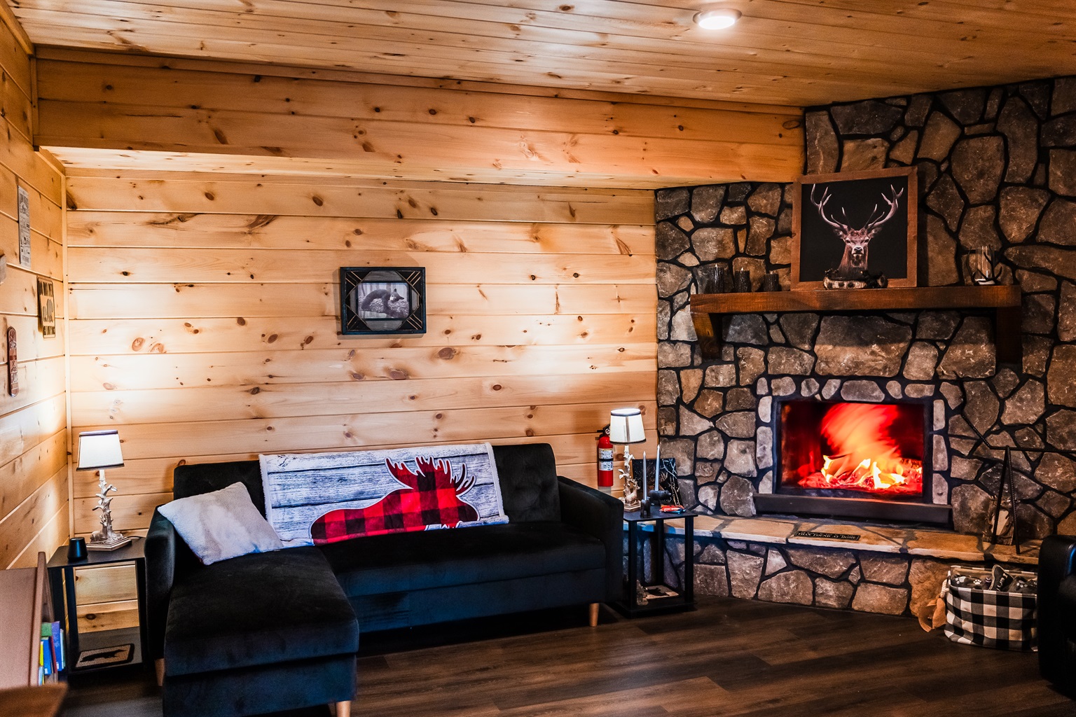 Fireplace in the basement for the familiy to gather around