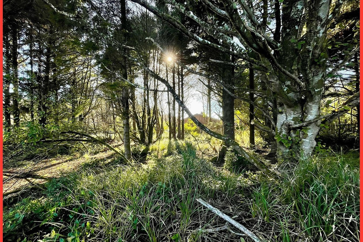 Surrounded by the natural beauty of the Washington coast — evergreens, ocean air and miles of open beach just down the road.