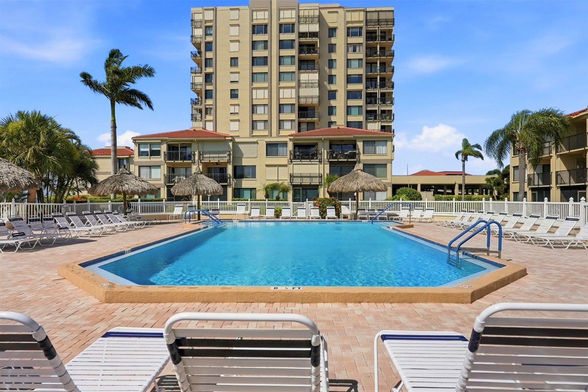 The resort-style heated pool is surrounded by palm trees, lounge chairs, and beautifully maintained grounds, all set against the scenic bay area backdrop.