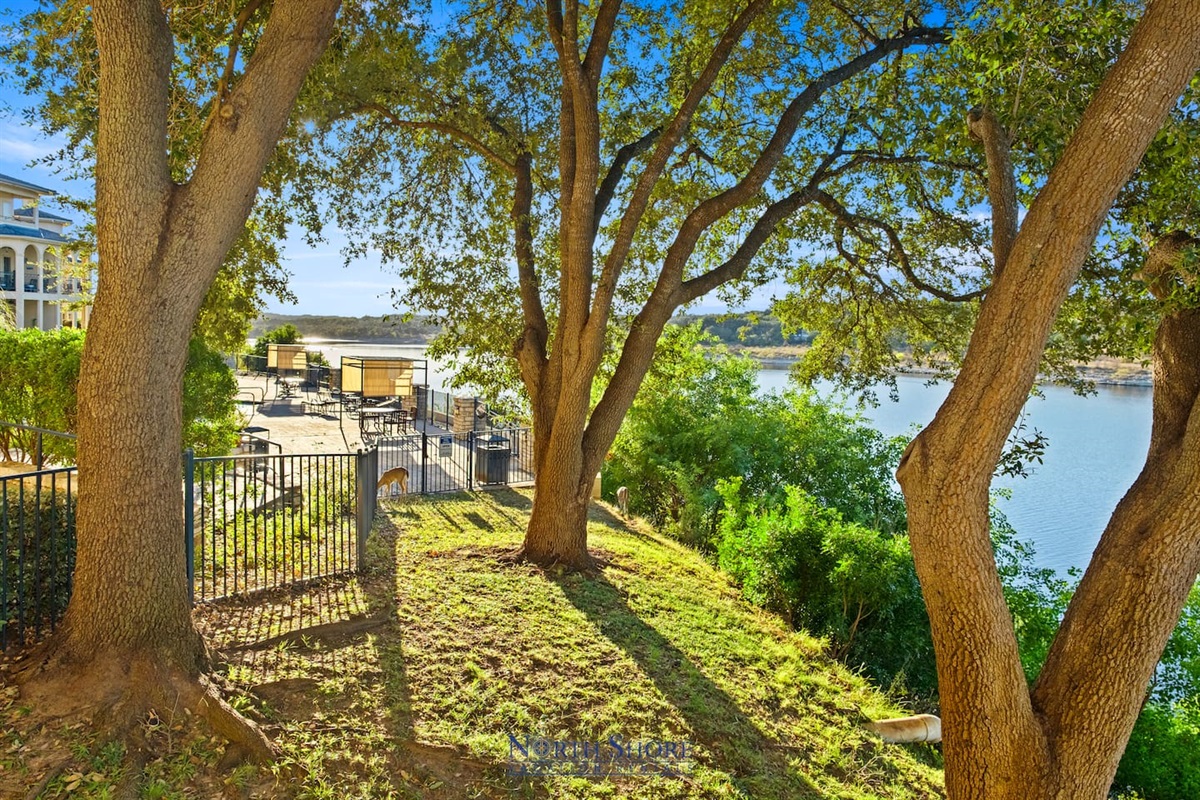 Beautiful Trees and Lakeview