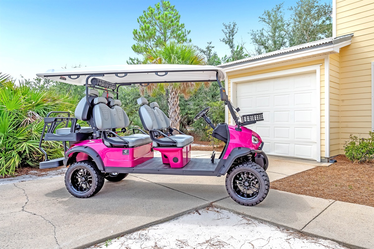 Golf Cart (6 person)