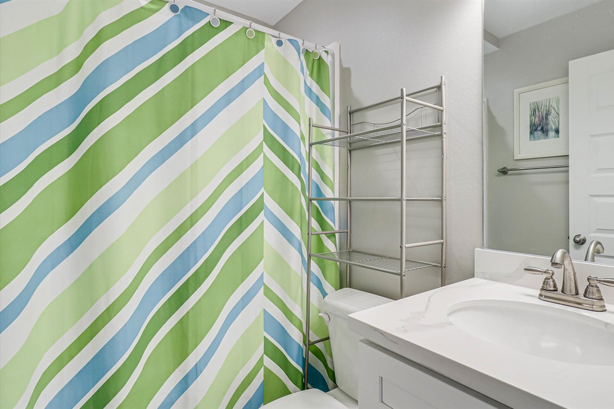 Master Bathroom Shower/Tub Combo