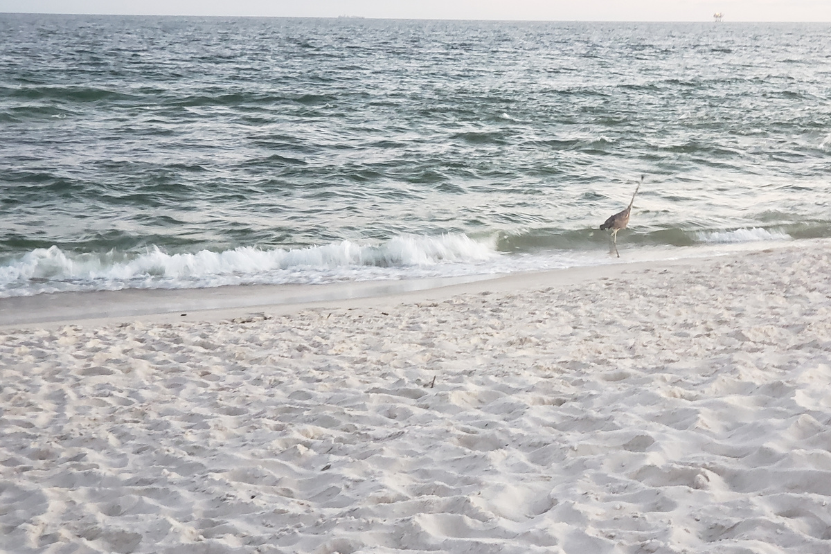 Public Beach Access – 2-minute walk