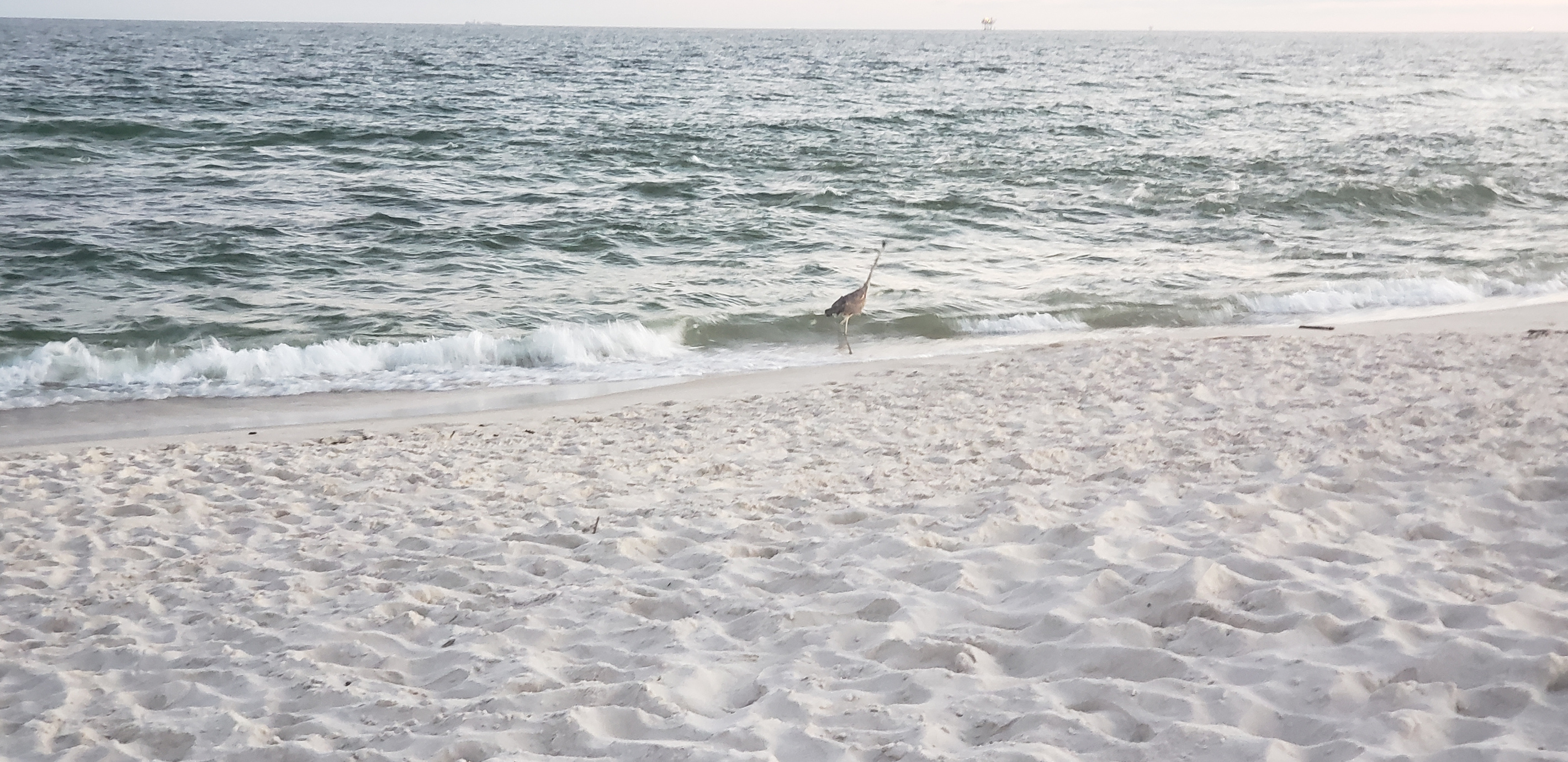 Public Beach Access – 2-minute walk