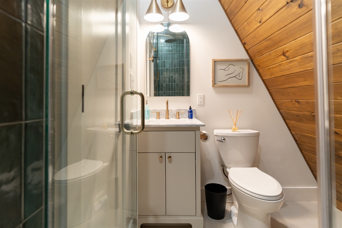 Comeback Upstairs Master Bathroom