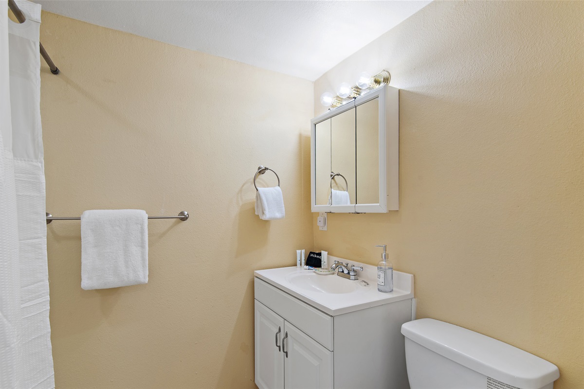 Level 1 - Bathroom with Shower/Tub Combo