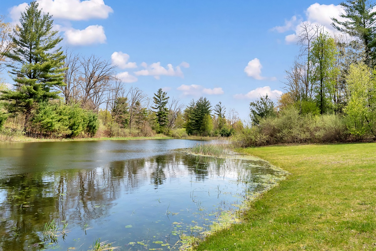 Pond view.