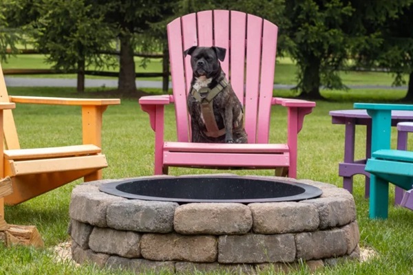 Firepit Guard Dog :)